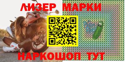 a pvp Новозыбков