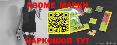 a pvp Новозыбков