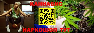 прущие грибы Апшеронск