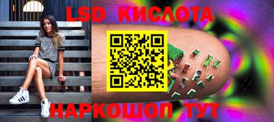 прущие грибы Апшеронск