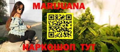 a pvp Новозыбков