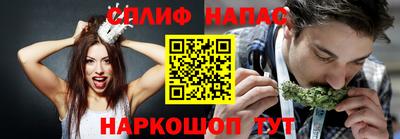 прущие грибы Апшеронск