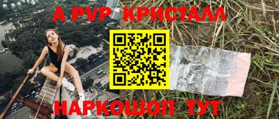 a pvp Новозыбков