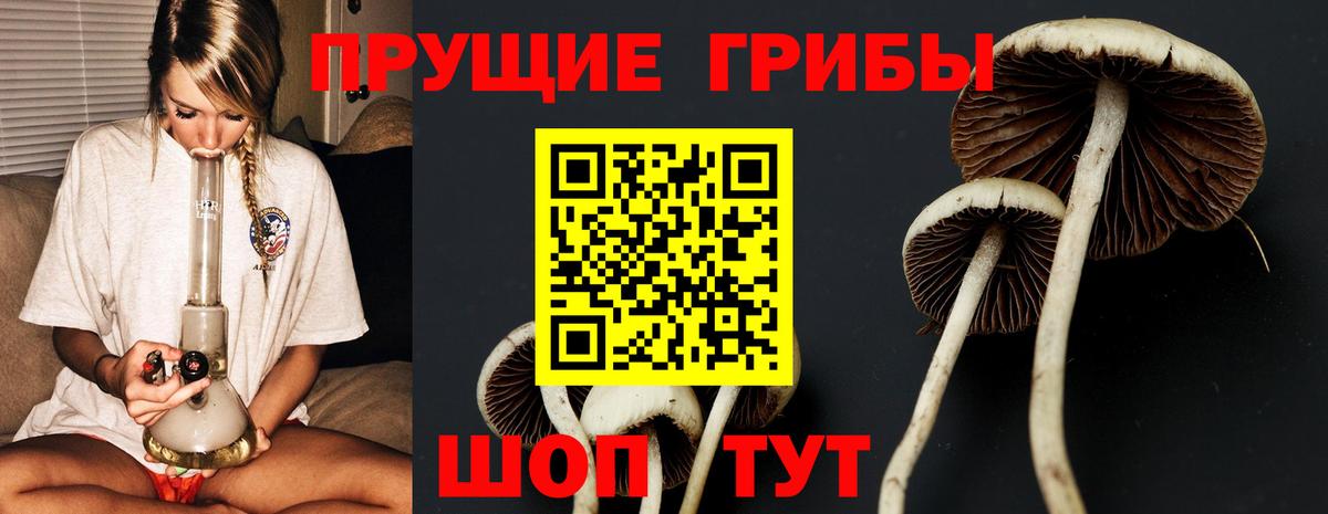 Дербент  Галлюциногенные грибы прущие грибы  закладка  Вход с VPN 